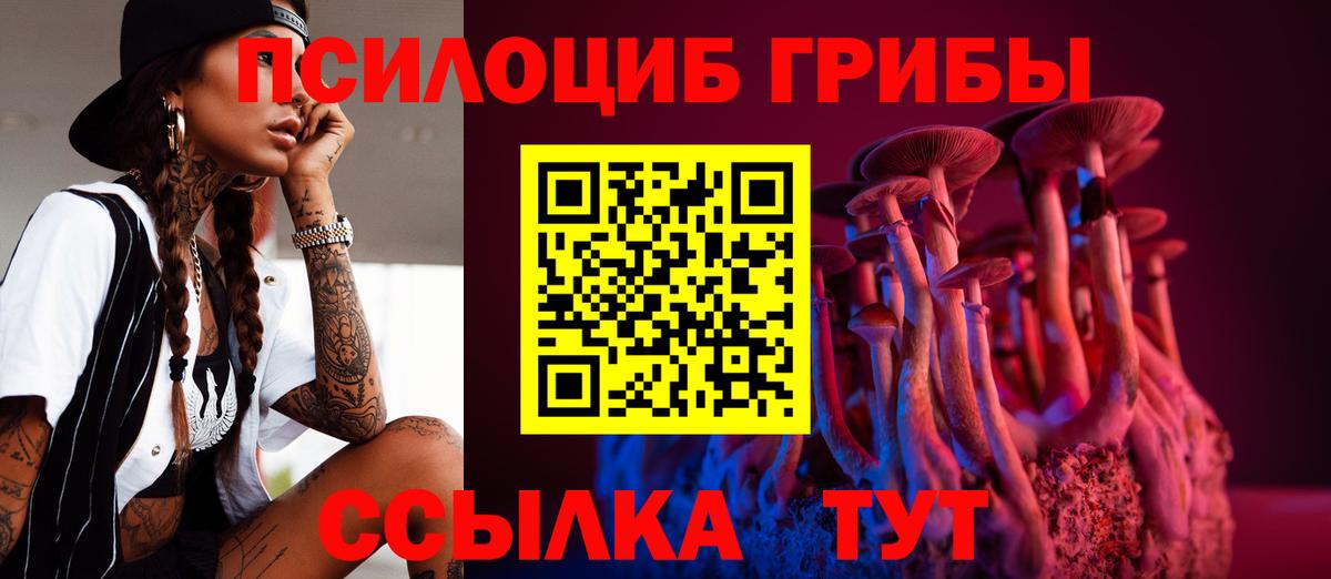 Галлюциногенные грибы GOLDEN TEACHER Новокуйбышевск